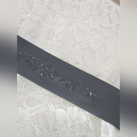 David's Bridal beaded lace GORGEOUS in PERFECT SHAPE - Picture 2 of 7